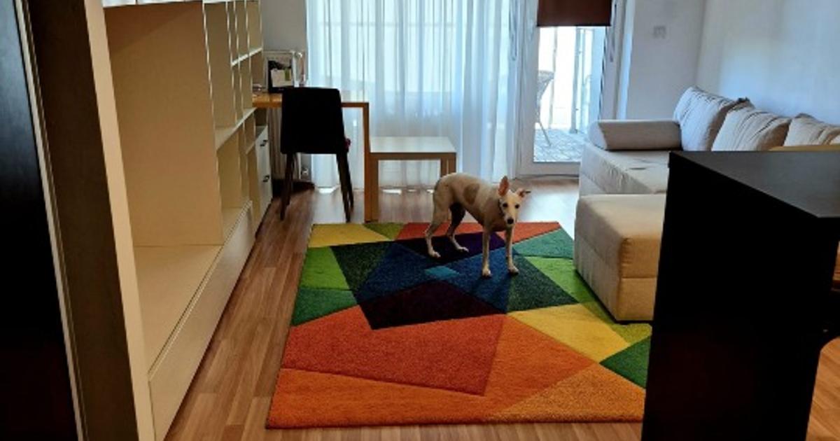 Apartament decomandat cu 2 camere în zona Colentina, Sector 2