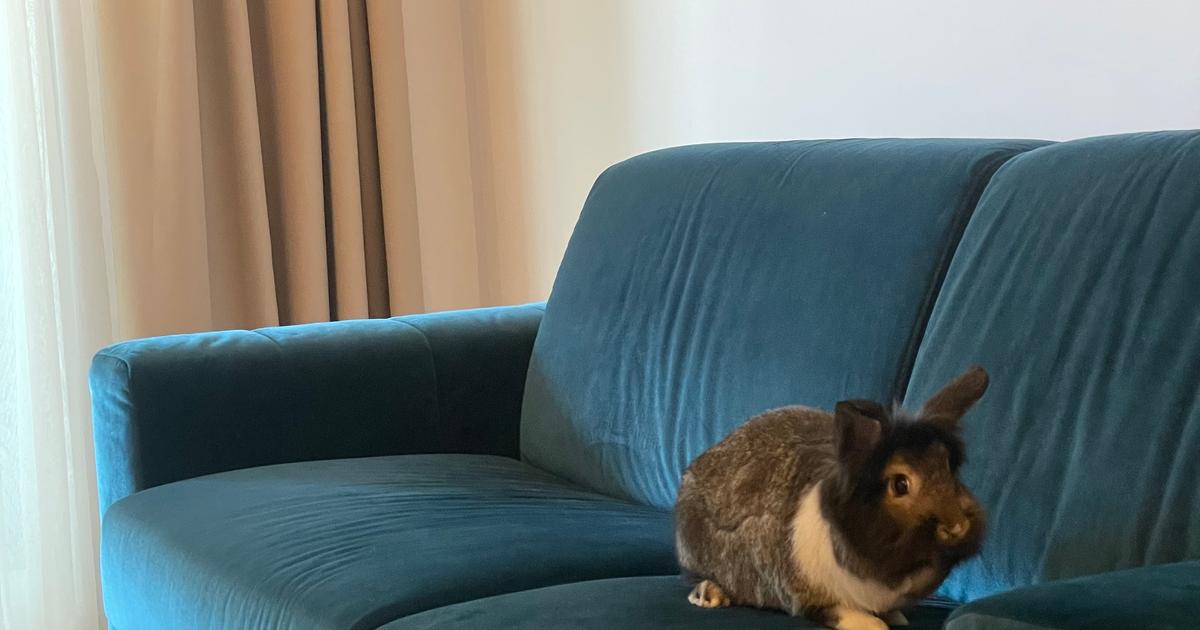 Apartament semidecomandat cu 2 camere în zona Politehnica, Sector 6