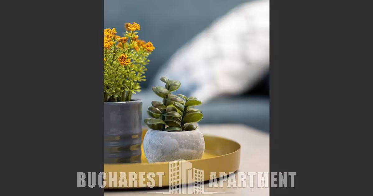Apartament decomandat cu 2 camere în zona Victoriei, Ultracentral