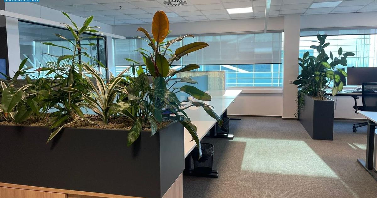 Birou 180 mp în zona Astra, Brașov