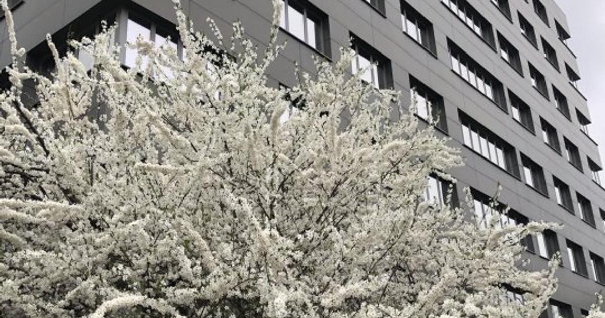 Birou 250 mp în zona Nerva Traian, Sector 3