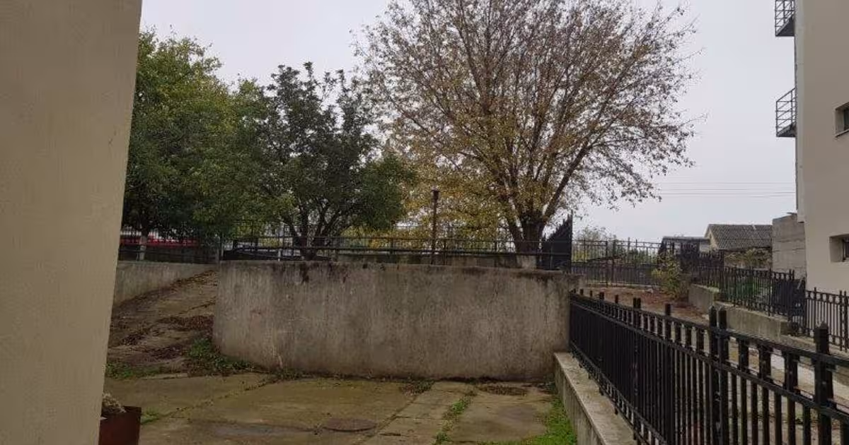 Birou 264 mp în zona Central, Săveni
