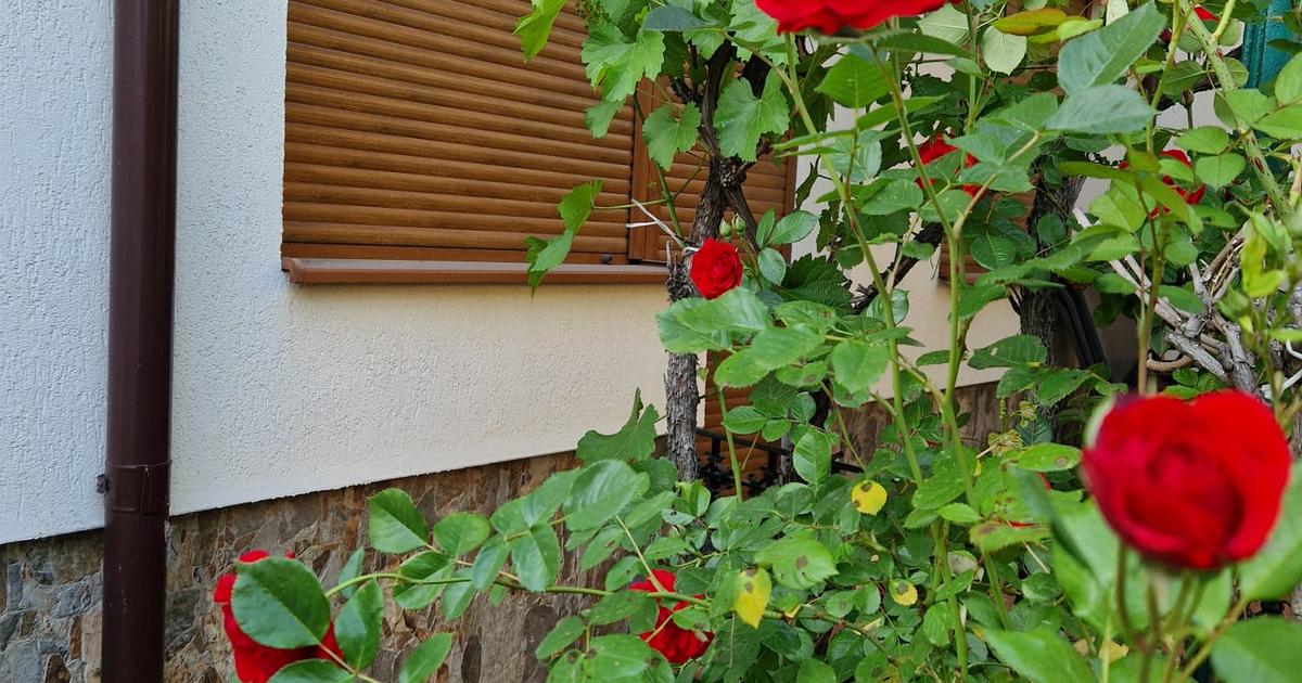 Casă 100 mp cu 4 camere în zona Eminescu, Sector 2