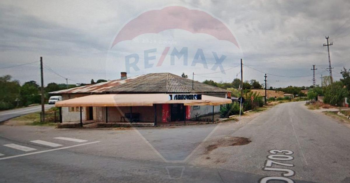 Casă cu 3 camere în Balaci