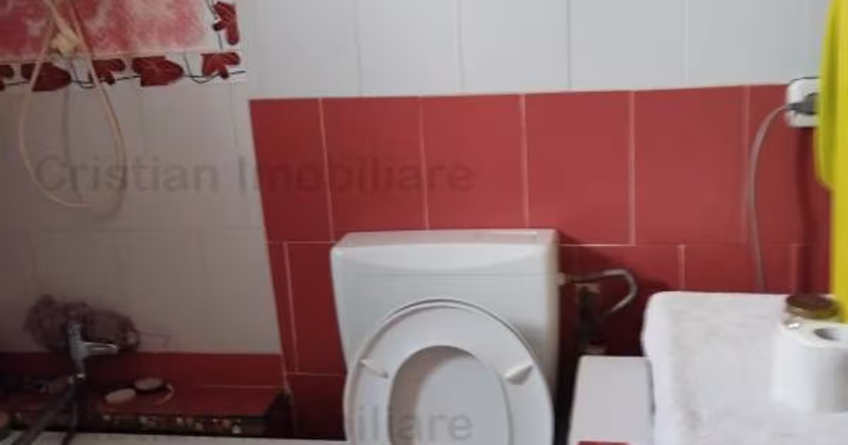 Casă cu 3 camere în Baldovinești