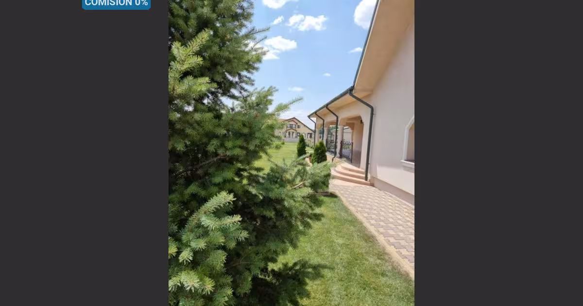 Casă 275 mp cu 4 camere în Costești