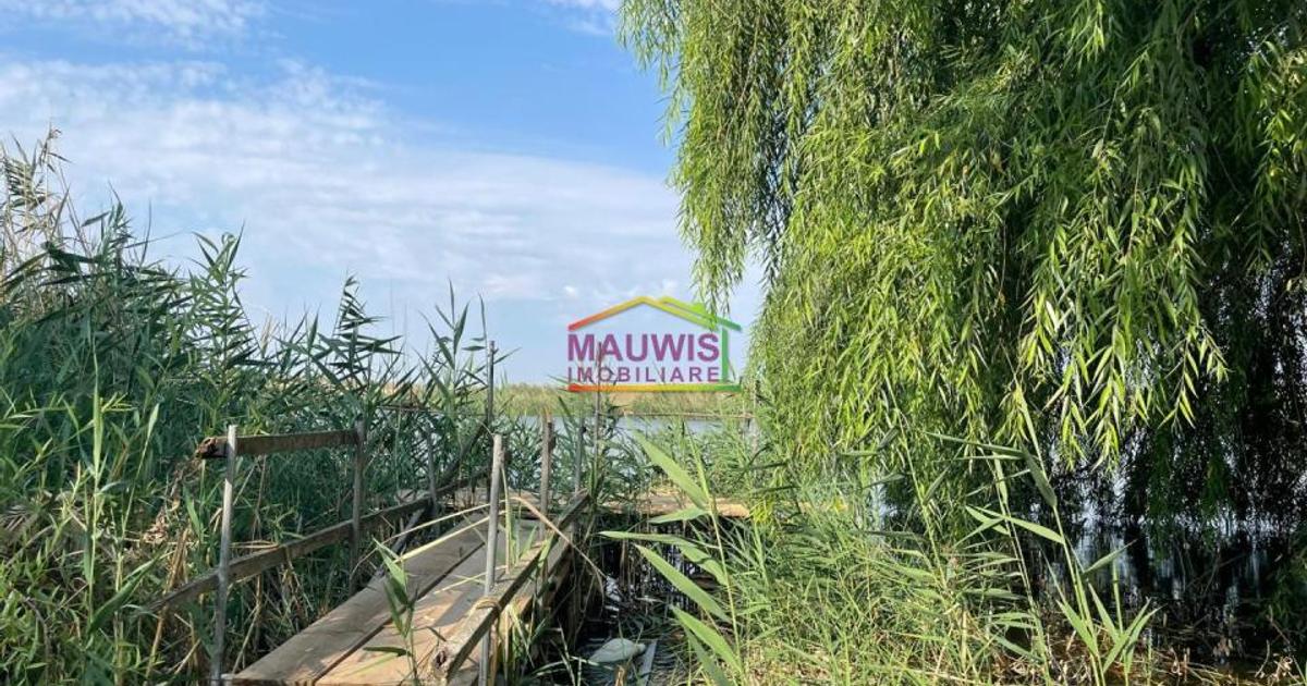 Casă cu 2 camere în Drăgoești