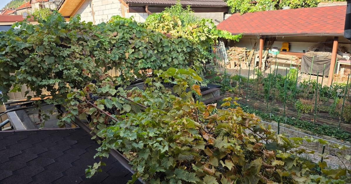 Casă 190.7 mp cu 6 camere în zona Central, Orșova