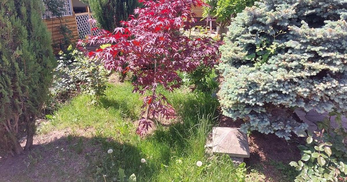 Casă 250 mp cu 10 camere în zona Central, Piatra-Neamț