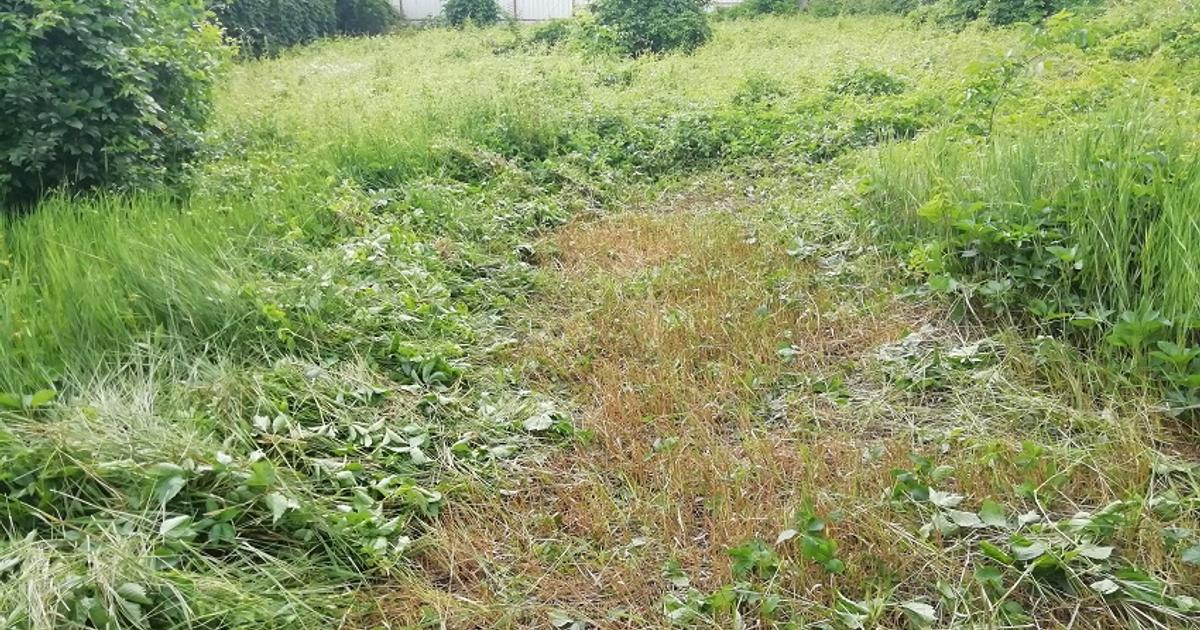 Casă 199 mp cu 5 camere în zona Precista, Piatra-Neamț