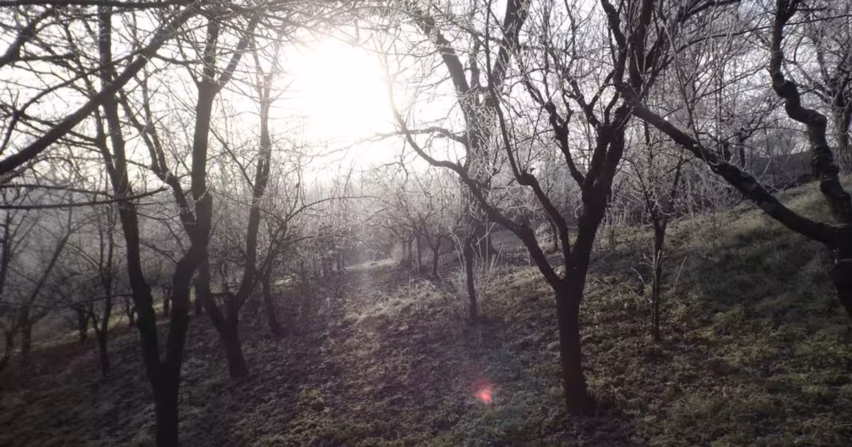 Casă 261 mp cu 8 camere în Pocruia