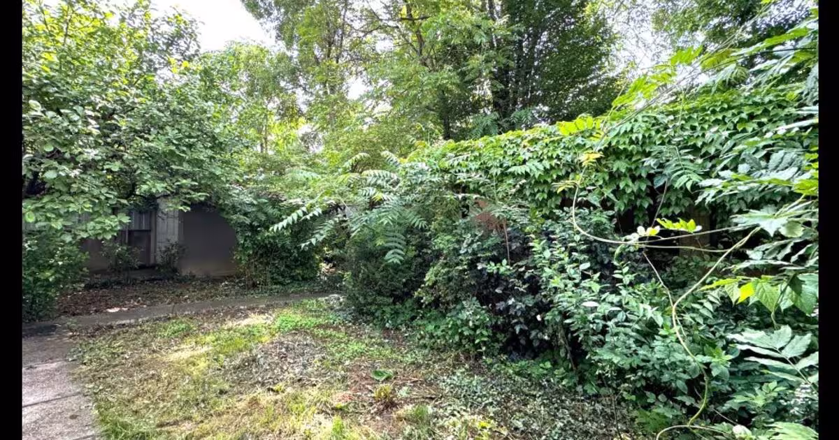 Casă cu 7 camere în zona Kiseleff, Sector 1