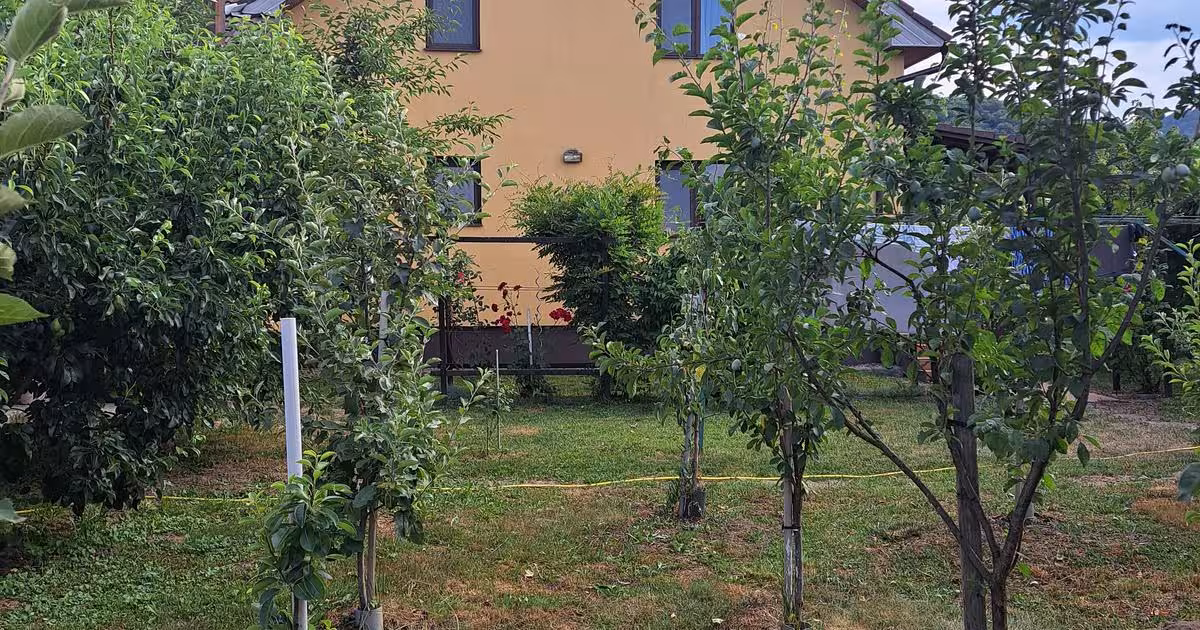 Casă 170 mp cu 5 camere în Șieu-Măgheruș