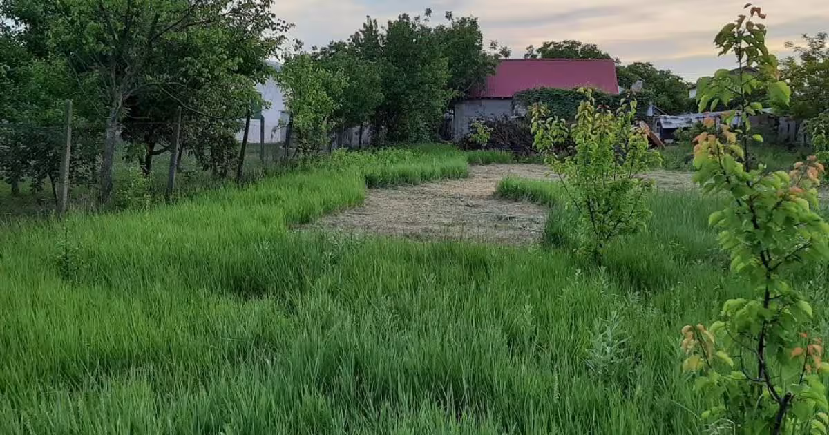 Casă 350 mp cu 4 camere în zona Central, Tecuci