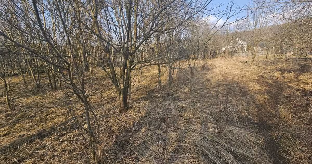 Casă cu 4 camere în Vâlcănești