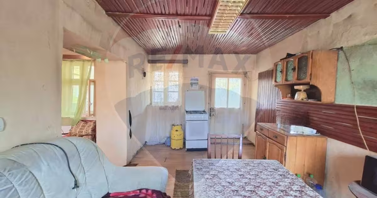 Casă cu 2 camere în Vladimirescu