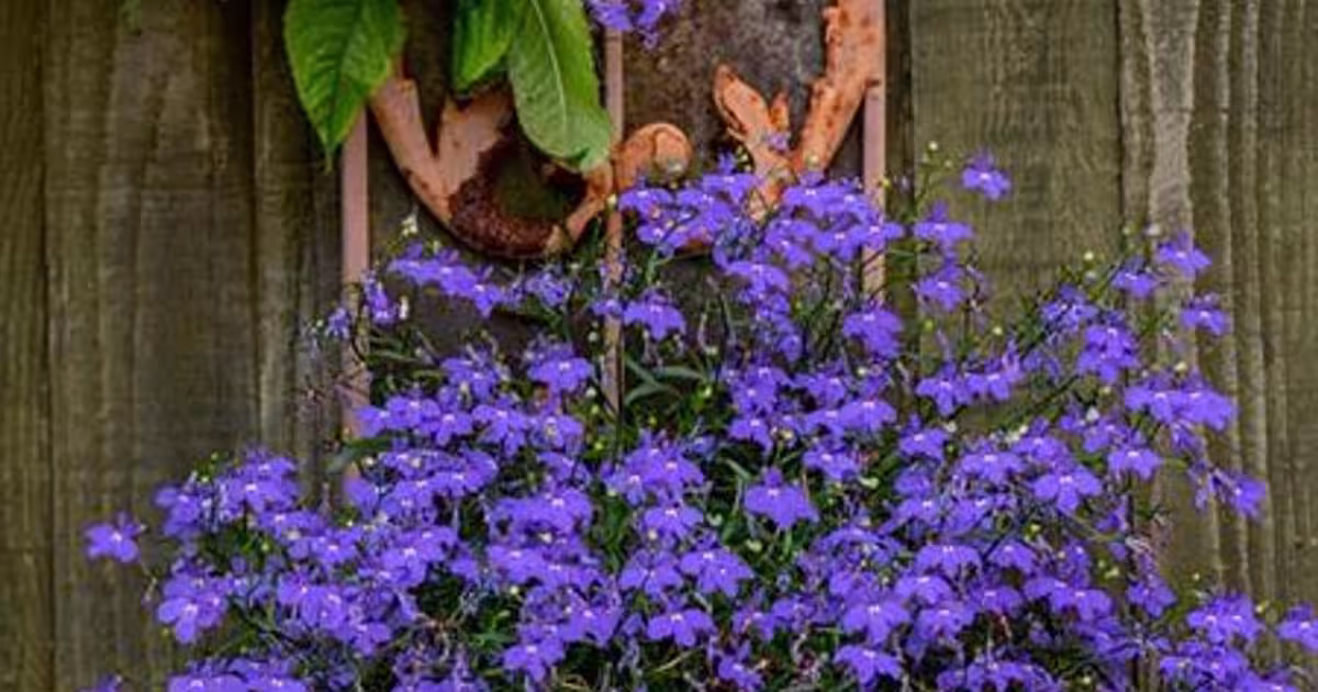 Casă cu 2 camere în Zagon