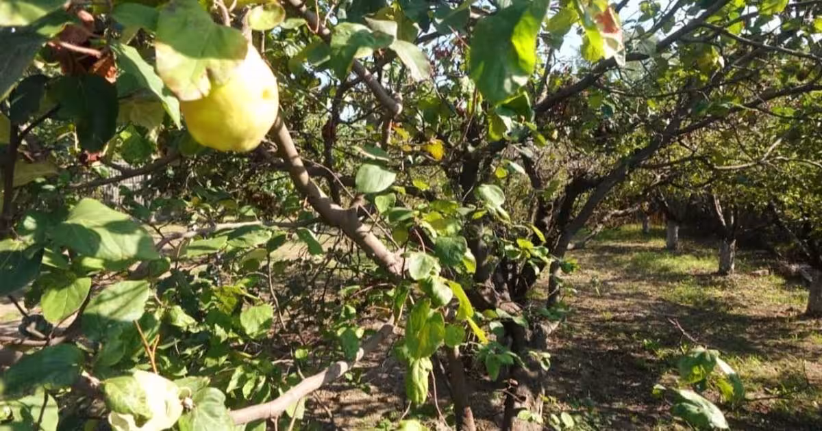 Casă individuală 140 mp cu 4 camere în zona Prundu, Pitești