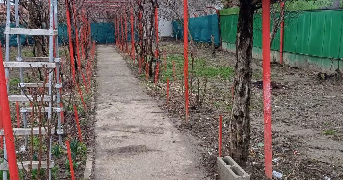 Casă individuală cu 3 camere în zona Telegrafului, Timișoara