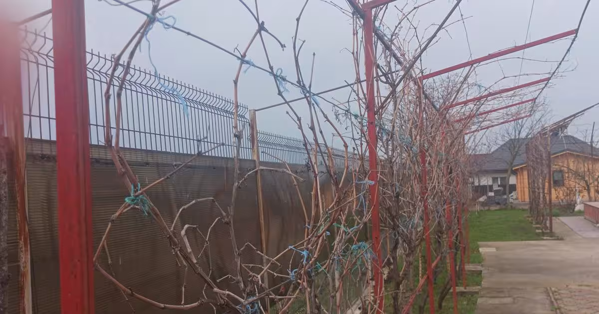 Casă individuală 152 mp cu 4 camere în Adunații-Copăceni