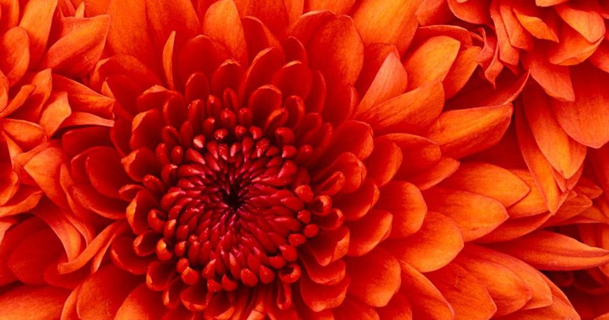 Casă individuală 200 mp cu 3 camere în zona Ampoi 2, Alba Iulia