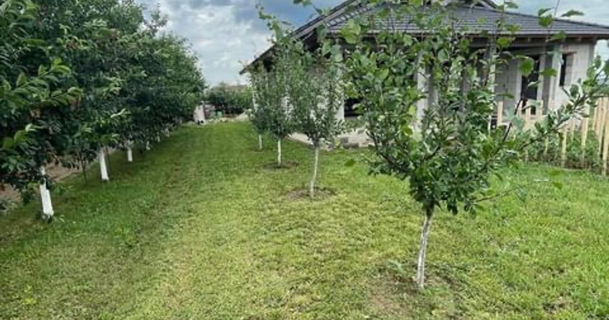 Casă individuală 166 mp cu 3 camere în Almașu Mic (Sârbi)