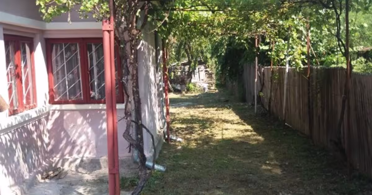 Casă individuală 60 mp cu 3 camere în Alunișu