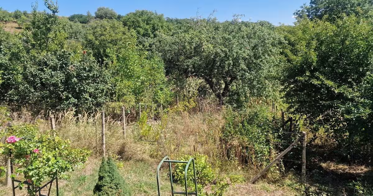 Casă individuală cu 5 camere în zona Est, Bacău