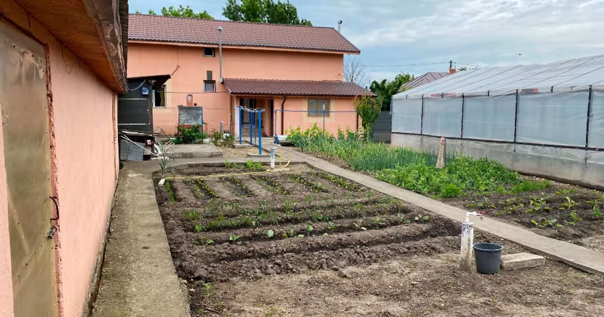 Casă individuală 180 mp cu 5 camere în Băduleasa
