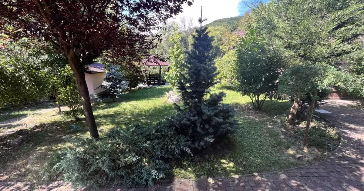 Casă individuală 220 mp cu 5 camere în zona Sud, Băile Olănești