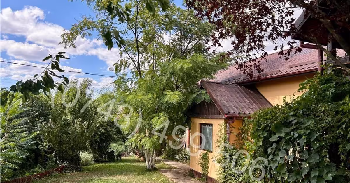 Casă individuală 165 mp cu 5 camere în Belciugatele