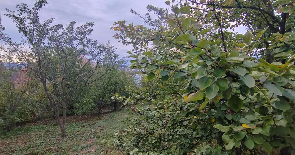 Casă individuală cu 2 camere în zona Nord-Est, Bistrița