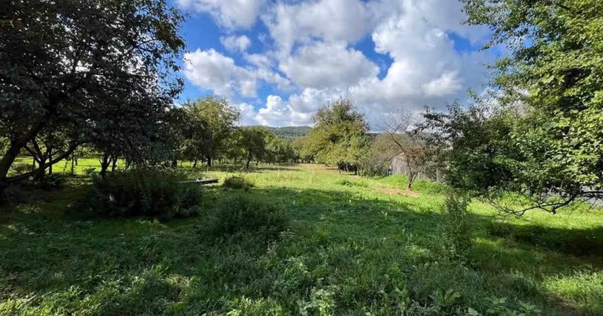 Casă individuală 85 mp cu 3 camere în zona Vest, Bistrița