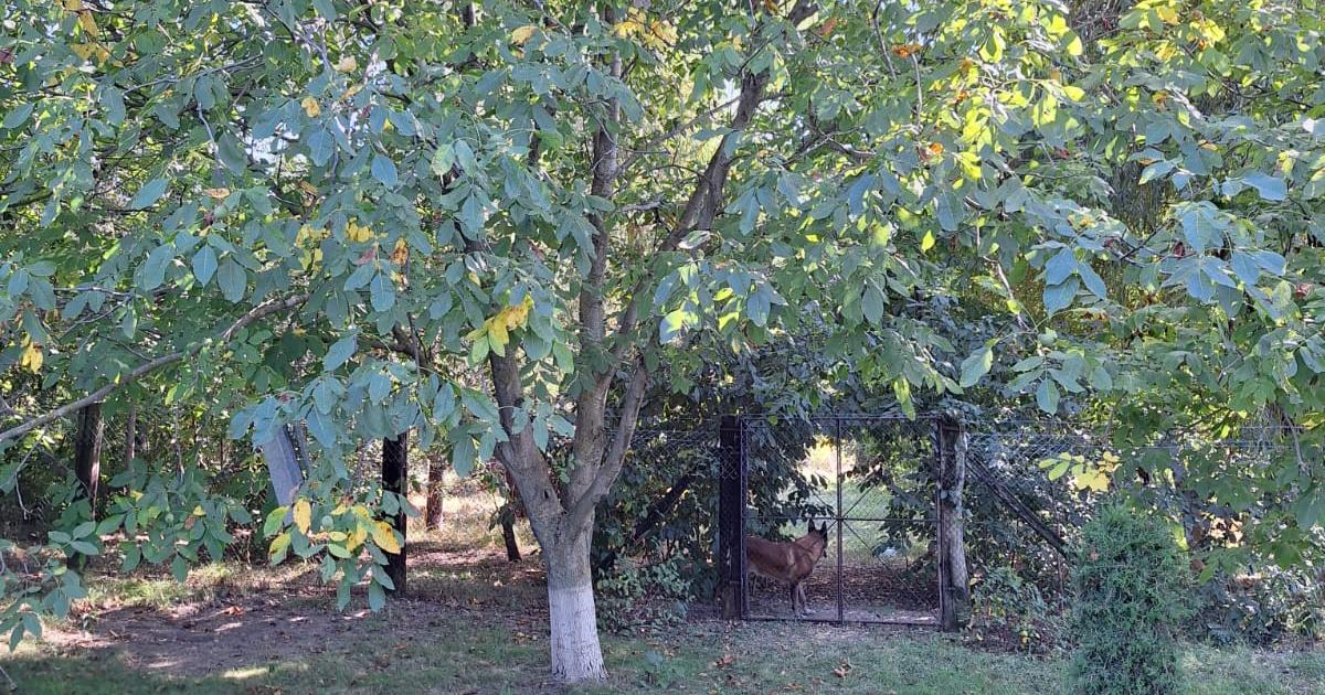 Casă individuală cu 6 camere în zona Central, Botoșani