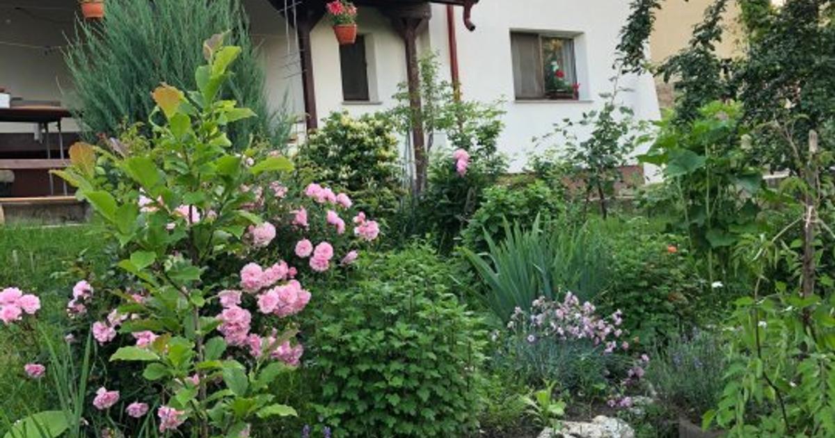 Casă individuală 212 mp cu 5 camere în zona Nord, Botoșani