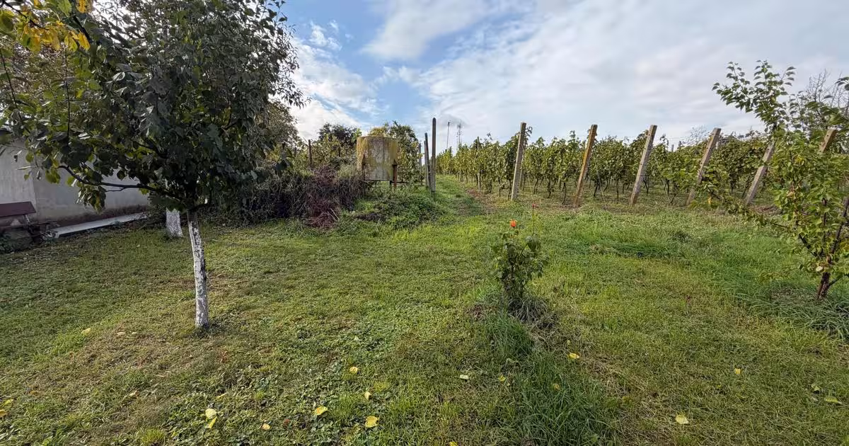 Casă individuală cu 1 camere în zona Sud-Vest, Carei