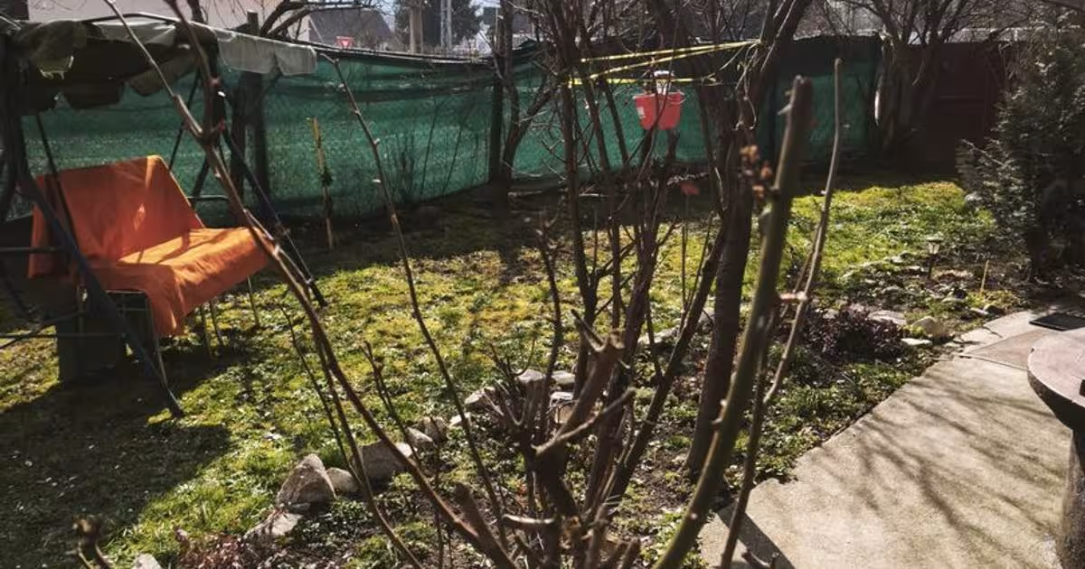 Casă individuală cu 3 camere în Corunca