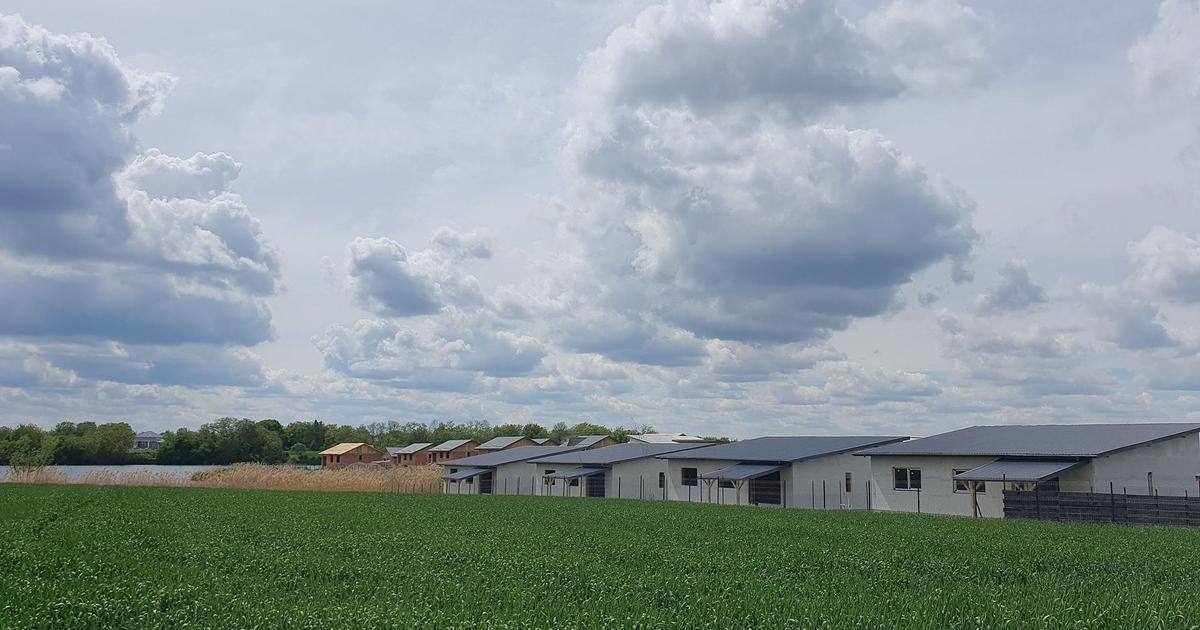 Casă individuală 101 mp cu 4 camere în Crevedia