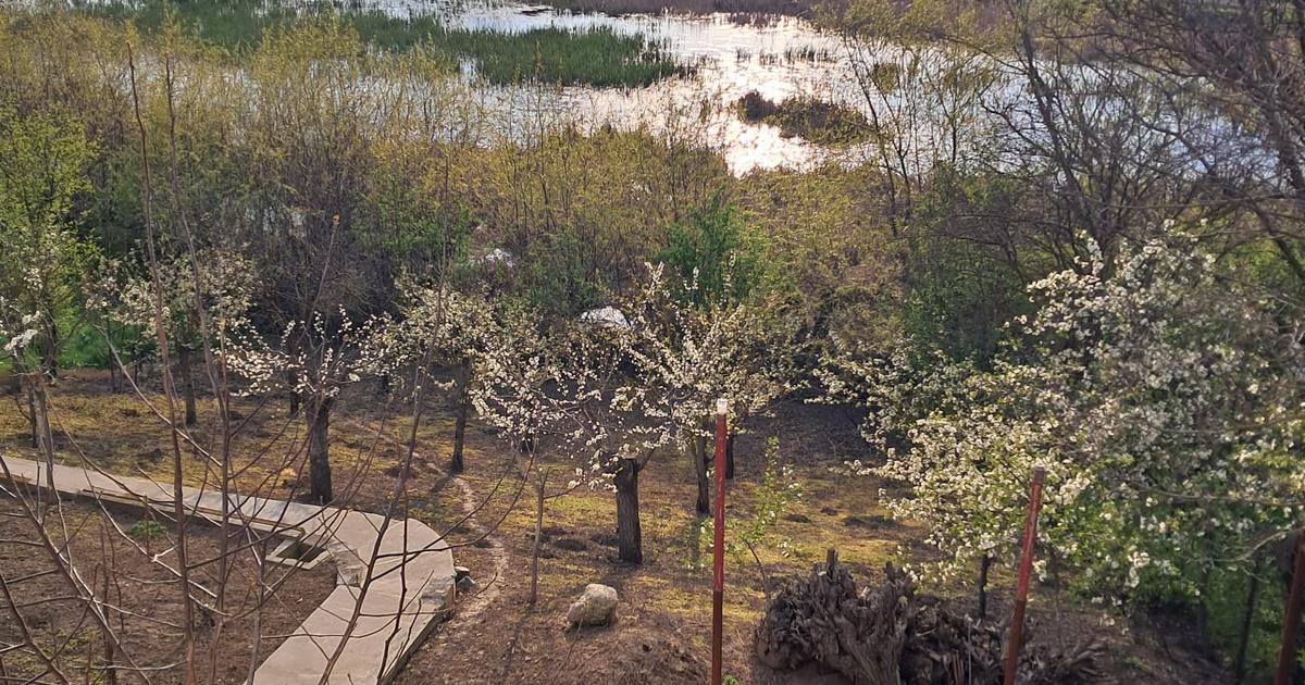 Casă individuală cu 4 camere în Frumușani