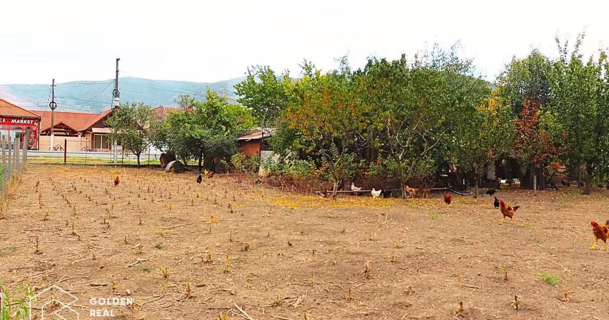 Casă individuală cu 3 camere în Galșa