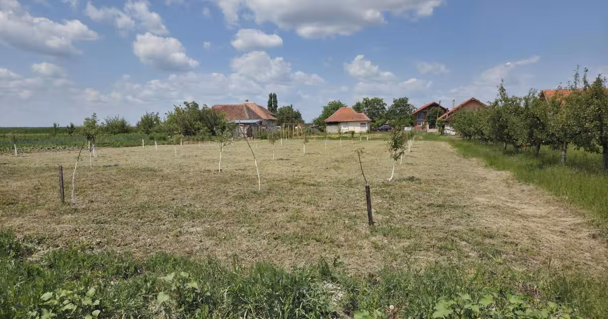 Casă individuală 60 mp cu 33 camere în Gelu