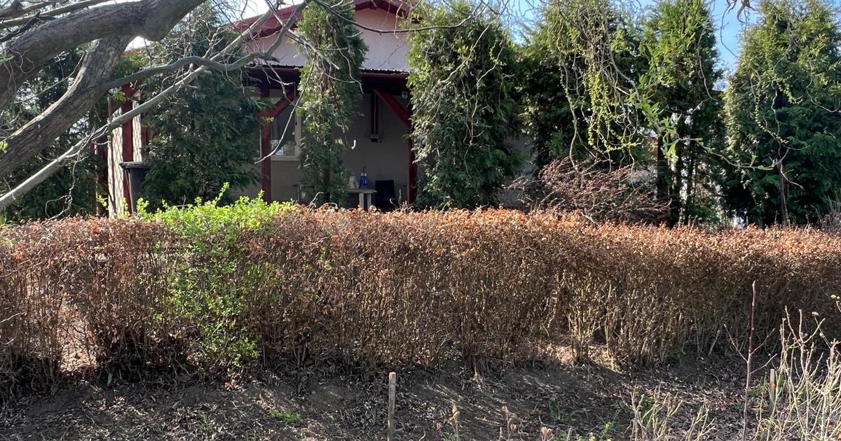 Casă individuală 87 mp cu 3 camere în Gruiu