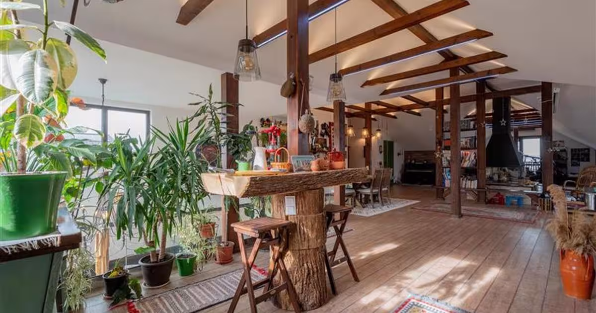 Casă individuală cu 7 camere în zona Bucium, Iași