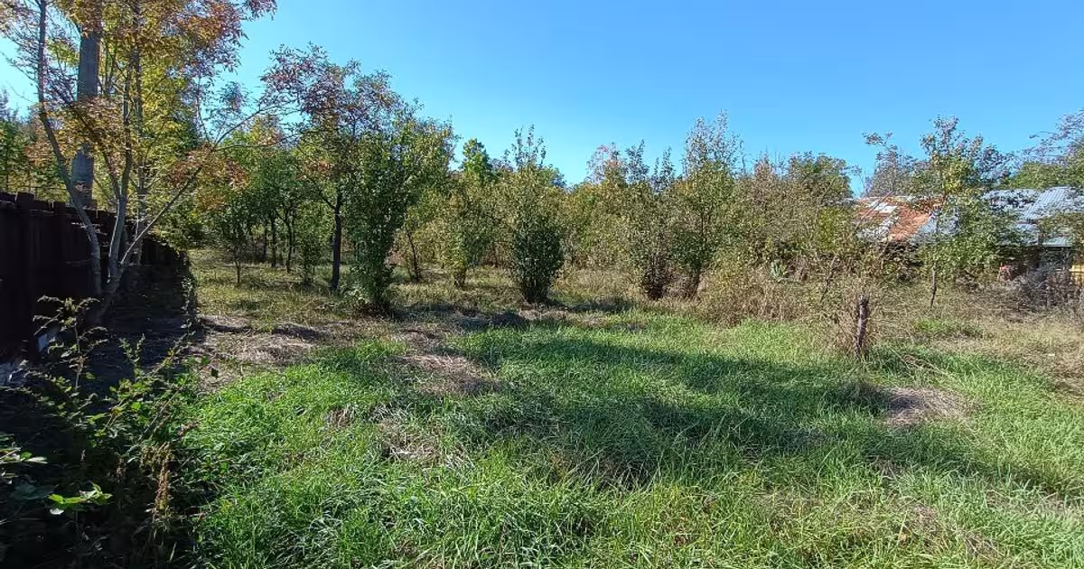 Casă individuală 115 mp cu 5 camere în Icoana