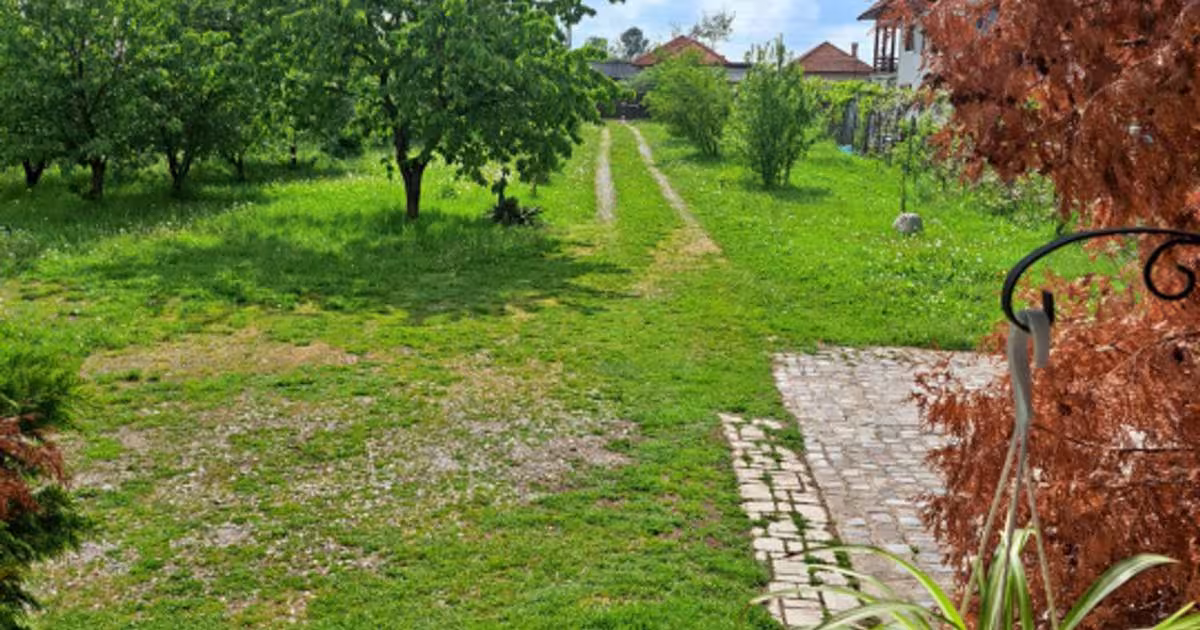 Casă individuală cu 4 camere în Lelești