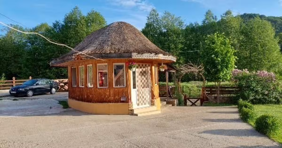 Casă individuală 220 mp cu 5 camere în Lepșa