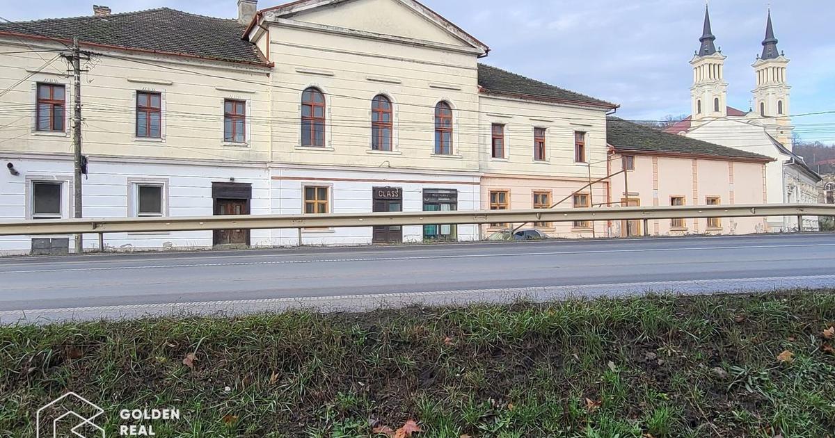 Casă individuală 1,000 mp cu 12 camere în zona Central, Lipova