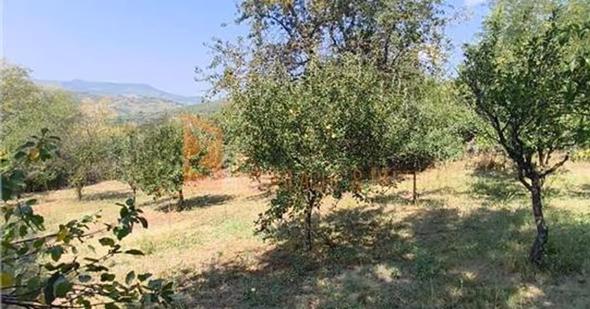 Casă individuală cu 6 camere în Lunca Frumoasă