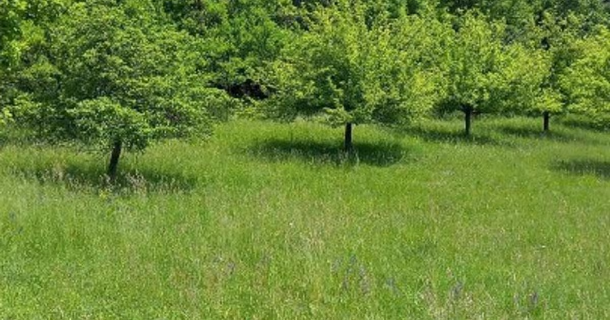 Casă individuală 120 mp cu 3 camere în zona Central, Năsăud