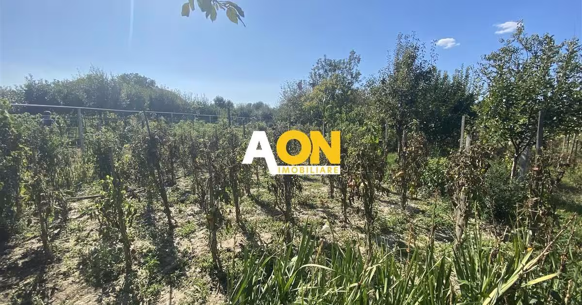 Casă individuală cu 4 camere în Oarda